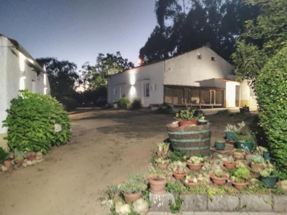 Quinta Da Mesa Villa Macinhata do Vouga Exterior photo
